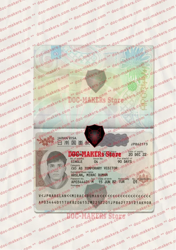 Japan Visa Sticker + Photo Look – PSD Template